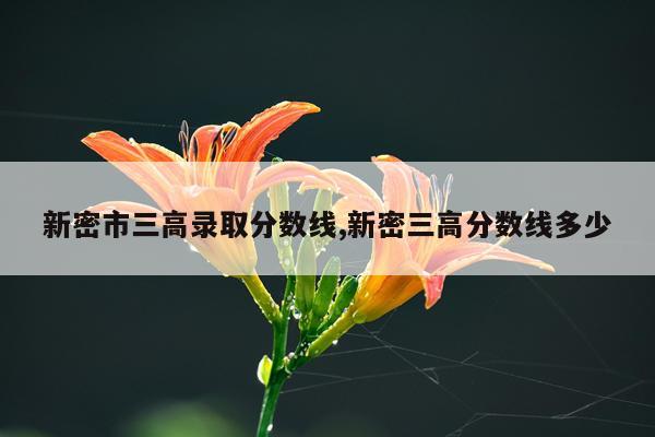 新密市三高录取分数线,新密三高分数线多少