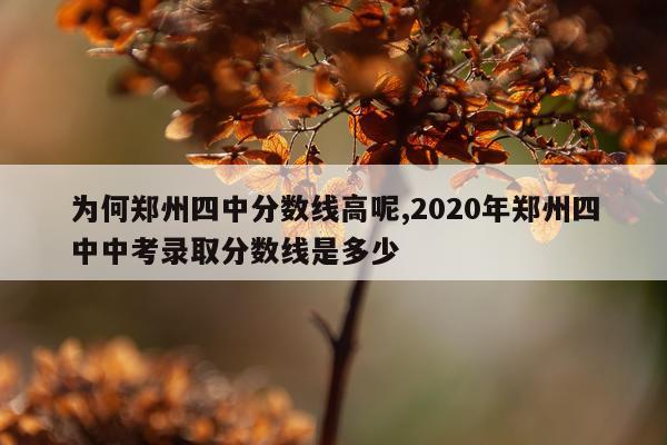 为何郑州四中分数线高呢,2020年郑州四中中考录取分数线是多少