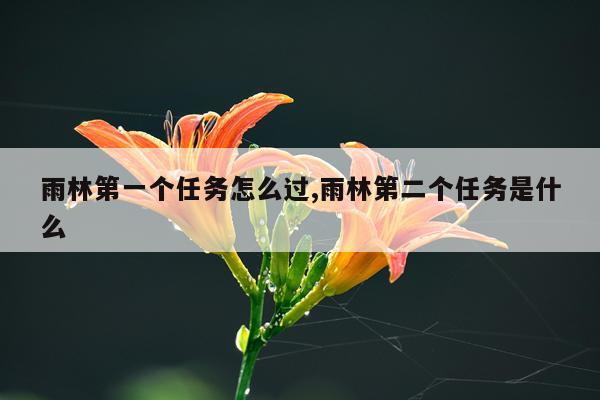 雨林第一个任务怎么过,雨林第二个任务是什么