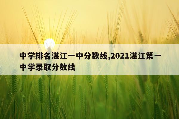 中学排名湛江一中分数线,2021湛江第一中学录取分数线
