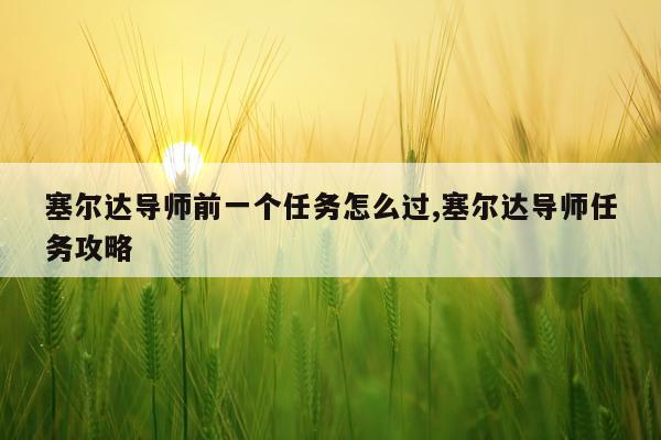 塞尔达导师前一个任务怎么过,塞尔达导师任务攻略