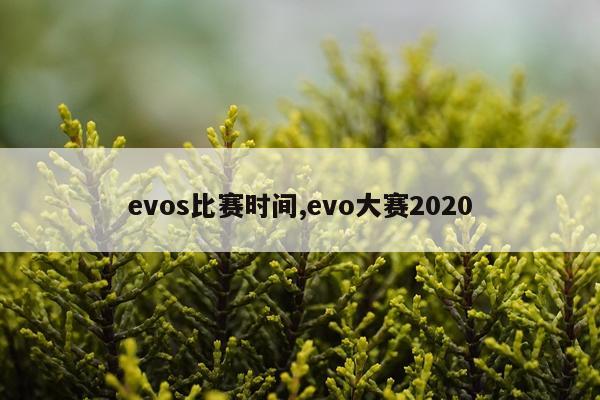 evos比赛时间,evo大赛2020