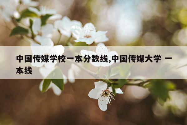 中国传媒学校一本分数线,中国传媒大学 一本线