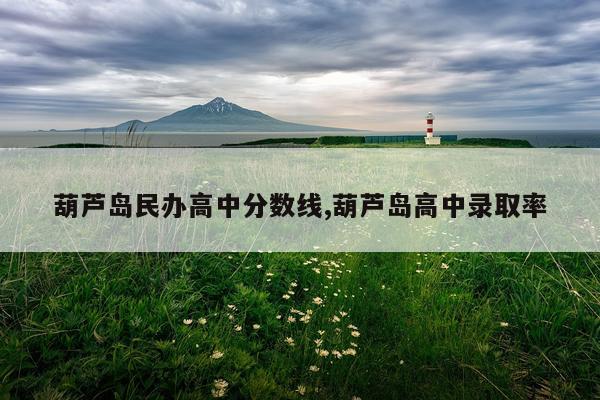 葫芦岛民办高中分数线,葫芦岛高中录取率