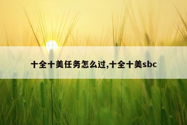 十全十美任务怎么过,十全十美sbc