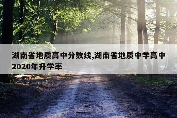 湖南省地质高中分数线,湖南省地质中学高中2020年升学率