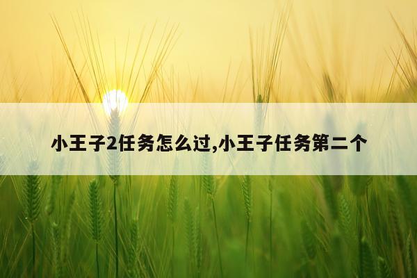 小王子2任务怎么过,小王子任务第二个