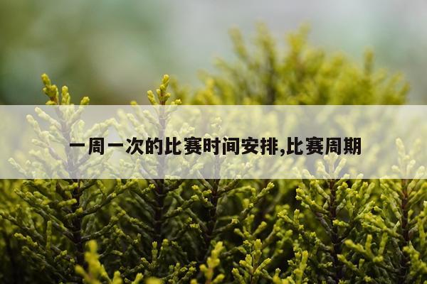 一周一次的比赛时间安排,比赛周期