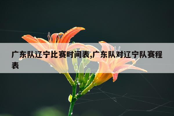 广东队辽宁比赛时间表,广东队对辽宁队赛程表