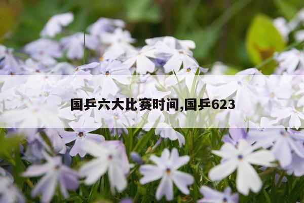 国乒六大比赛时间,国乒623