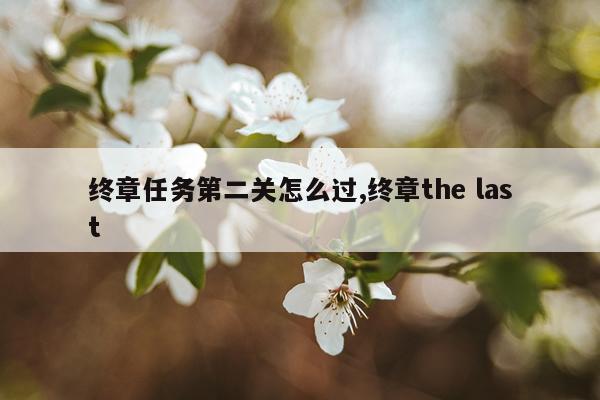 终章任务第二关怎么过,终章the last