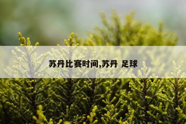 苏丹比赛时间,苏丹 足球