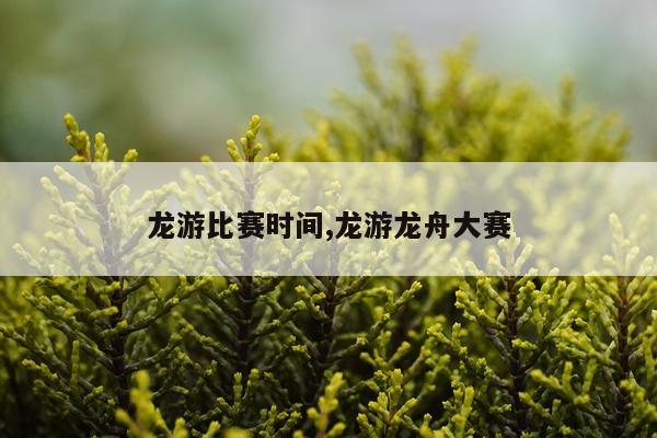 龙游比赛时间,龙游龙舟大赛