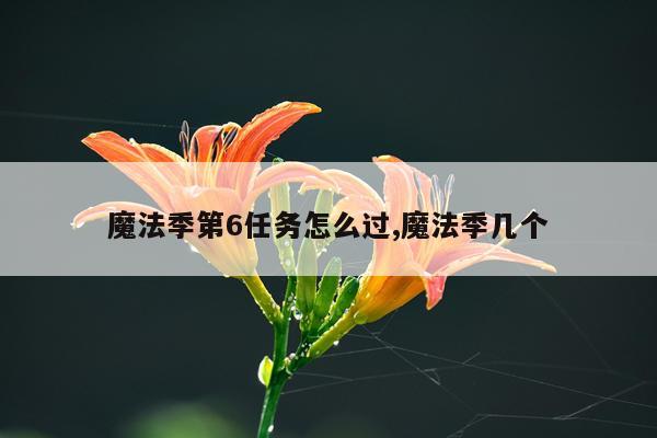 魔法季第6任务怎么过,魔法季几个