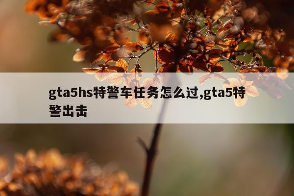 gta5hs特警车任务怎么过,gta5特警出击