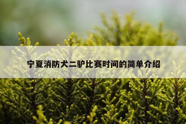 宁夏消防犬二驴比赛时间的简单介绍