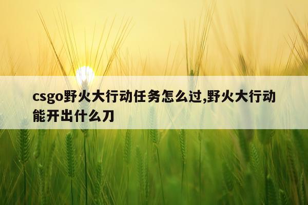 csgo野火大行动任务怎么过,野火大行动能开出什么刀