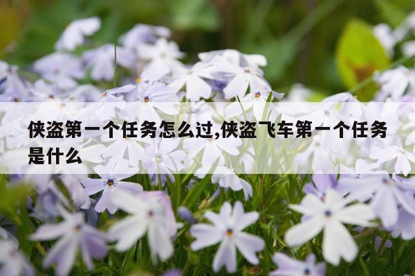 侠盗第一个任务怎么过,侠盗飞车第一个任务是什么