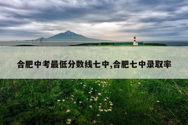 合肥中考最低分数线七中,合肥七中录取率