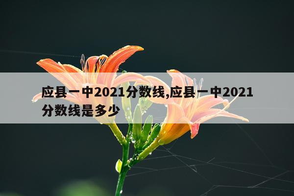 应县一中2021分数线,应县一中2021分数线是多少