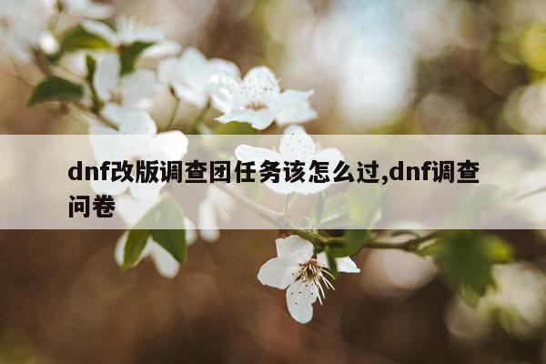 dnf改版调查团任务该怎么过,dnf调查问卷