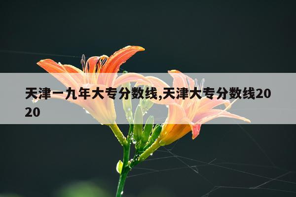 天津一九年大专分数线,天津大专分数线2020
