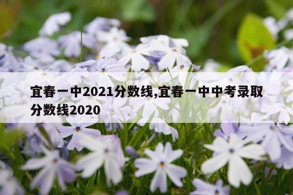 宜春一中2021分数线,宜春一中中考录取分数线2020