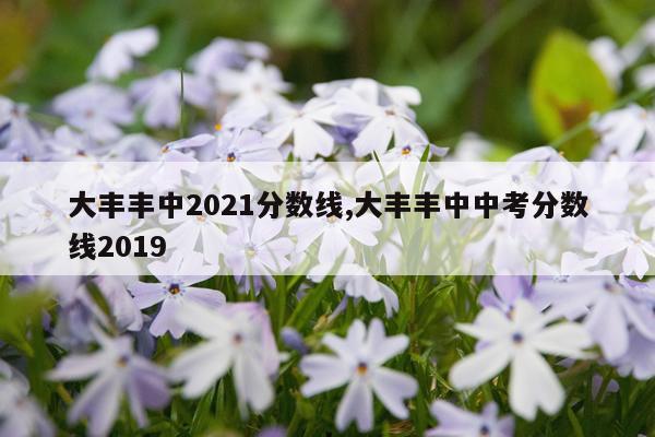 大丰丰中2021分数线,大丰丰中中考分数线2019