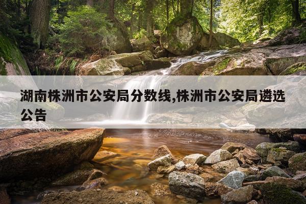 湖南株洲市公安局分数线,株洲市公安局遴选公告