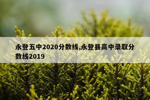 永登五中2020分数线,永登县高中录取分数线2019