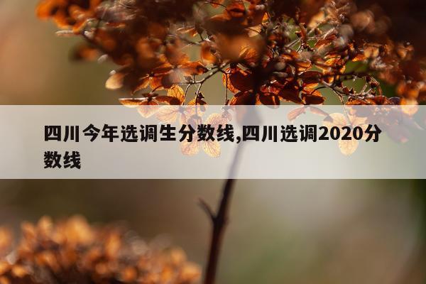 四川今年选调生分数线,四川选调2020分数线