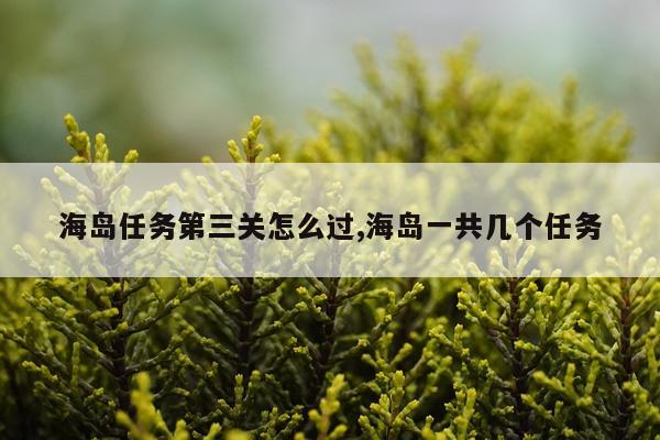 海岛任务第三关怎么过,海岛一共几个任务