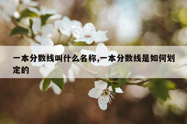 一本分数线叫什么名称,一本分数线是如何划定的