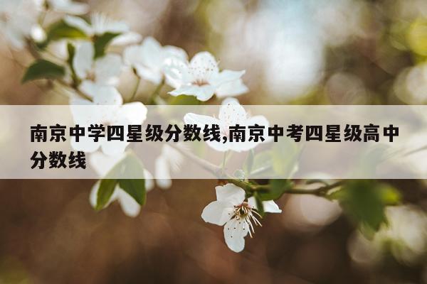 南京中学四星级分数线,南京中考四星级高中分数线
