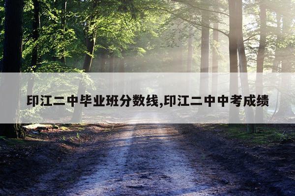 印江二中毕业班分数线,印江二中中考成绩