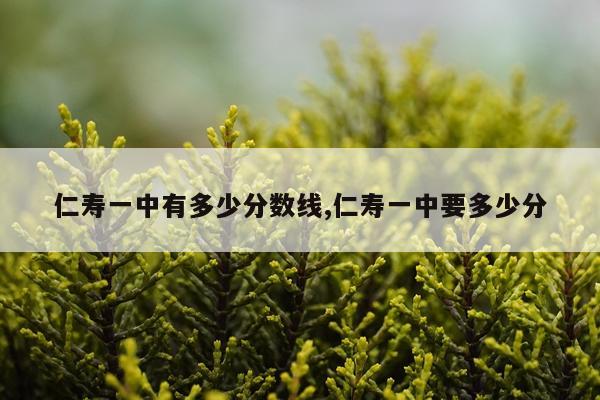 仁寿一中有多少分数线,仁寿一中要多少分
