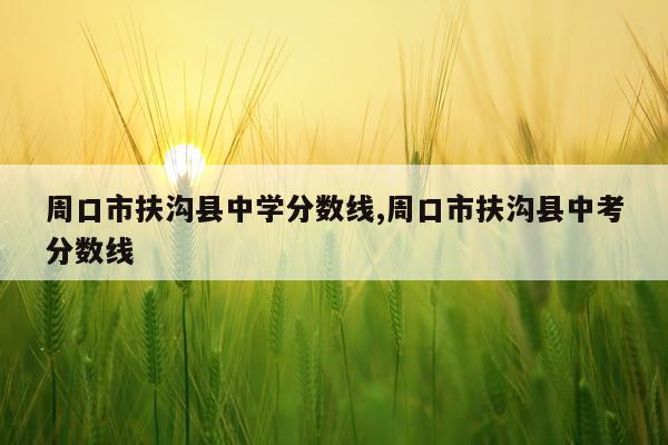 周口市扶沟县中学分数线,周口市扶沟县中考分数线