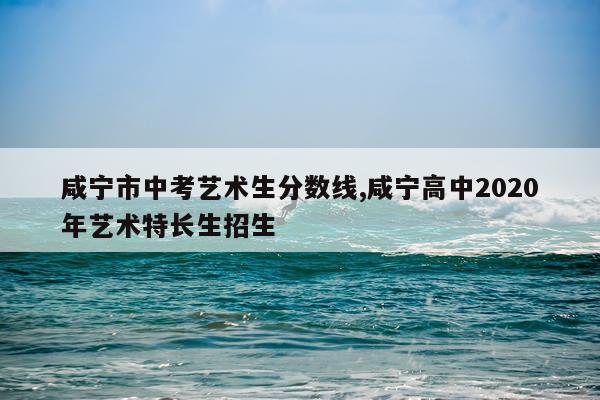 咸宁市中考艺术生分数线,咸宁高中2020年艺术特长生招生