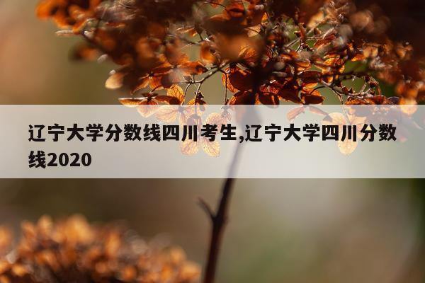 辽宁大学分数线四川考生,辽宁大学四川分数线2020