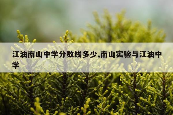 江油南山中学分数线多少,南山实验与江油中学