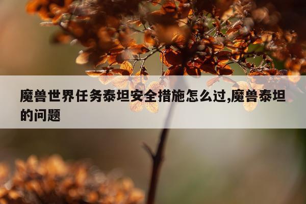 魔兽世界任务泰坦安全措施怎么过,魔兽泰坦的问题