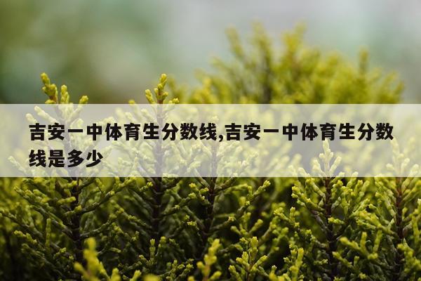 吉安一中体育生分数线,吉安一中体育生分数线是多少