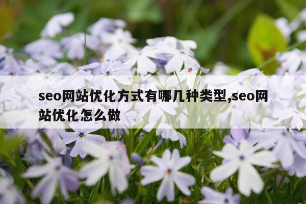 seo网站优化方式有哪几种类型,seo网站优化怎么做