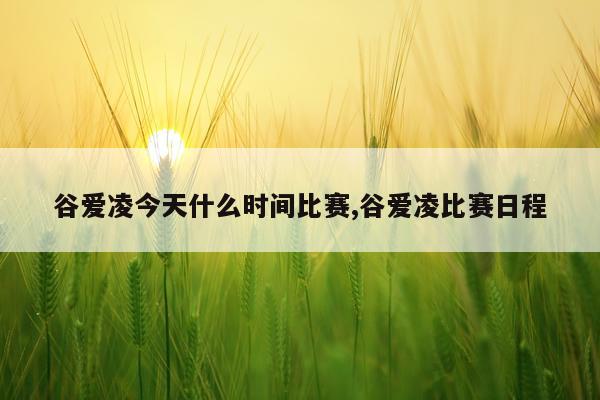 谷爱凌今天什么时间比赛,谷爱凌比赛日程