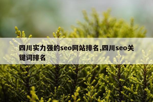 四川实力强的seo网站排名,四川seo关键词排名