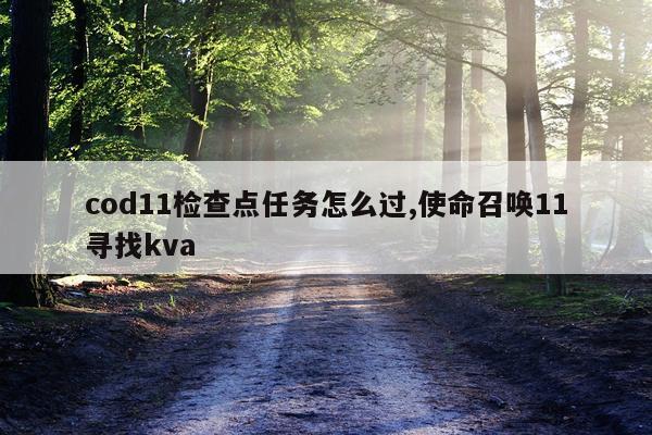 cod11检查点任务怎么过,使命召唤11寻找kva
