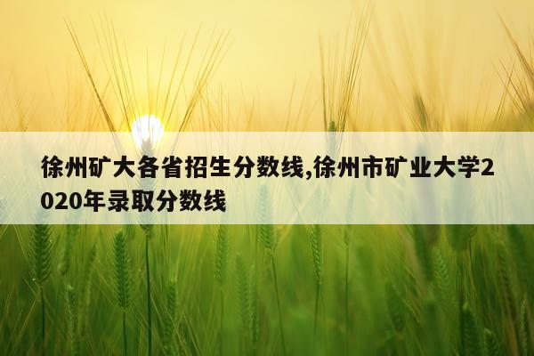 徐州矿大各省招生分数线,徐州市矿业大学2020年录取分数线