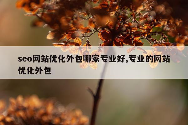 seo网站优化外包哪家专业好,专业的网站优化外包