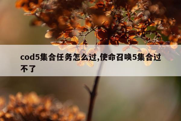 cod5集合任务怎么过,使命召唤5集合过不了