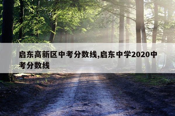 启东高新区中考分数线,启东中学2020中考分数线